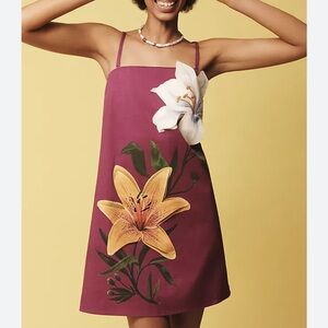 Farm Rio x Anthropologie 3D Floral Appliqué Mini Dress